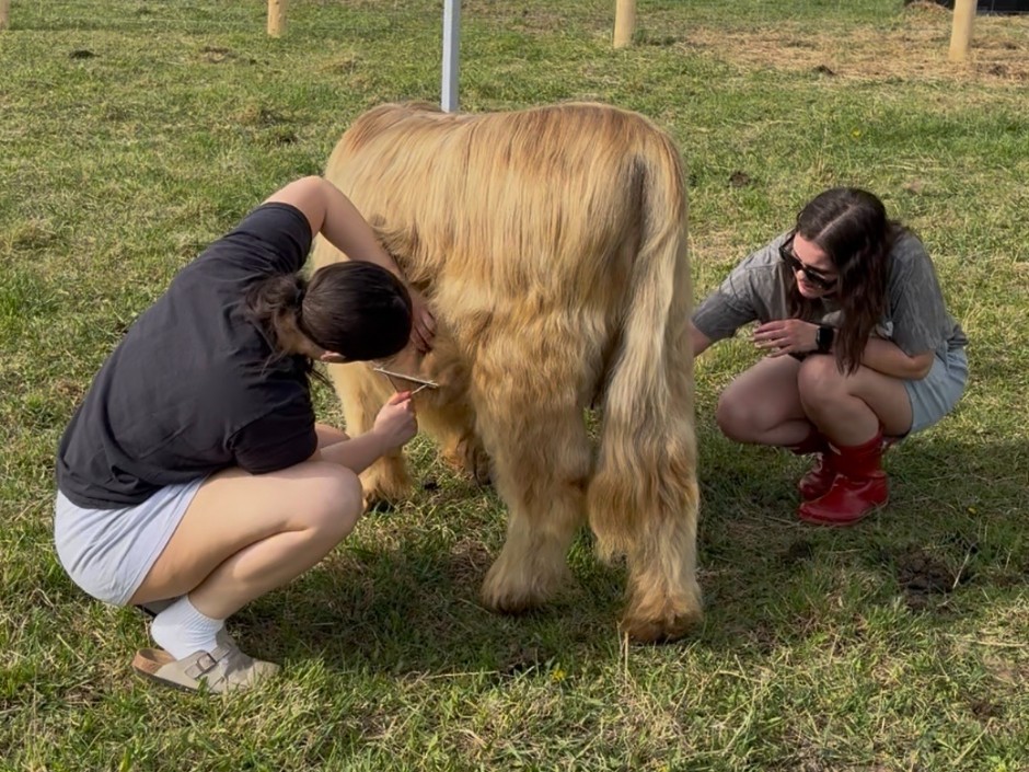 Private Animal Experience